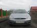 Preview 2004 Focus
