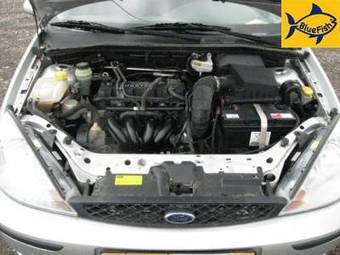 2004 Ford Focus Pictures