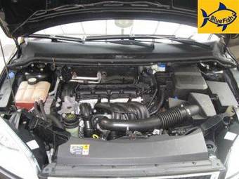 2005 Ford Focus Photos