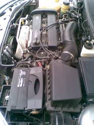 2005 Ford Focus Pictures