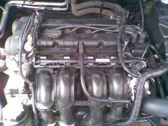 2006 Ford Focus Photos