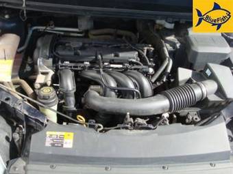 2006 Ford Focus Photos