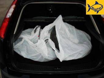 2007 Ford Focus Pictures