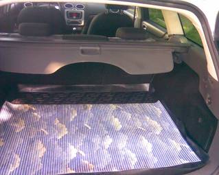 2007 Ford Focus For Sale