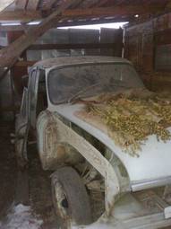 1968 GAZ Volga Pictures