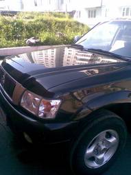 2007 Great Wall Deer For Sale
