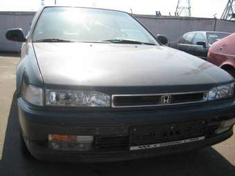 1993 Honda Accord