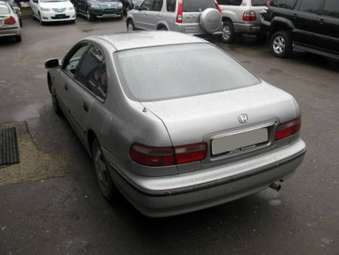 1997 Accord