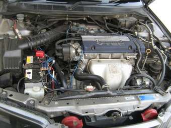 1998 Honda Accord Pictures