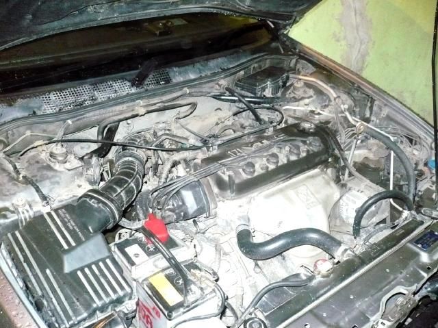 1999 Honda Accord