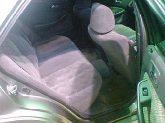 1999 Honda Accord Pictures