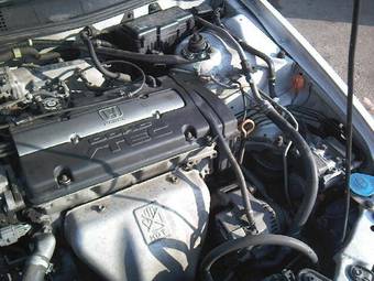 1999 Honda Accord Pictures