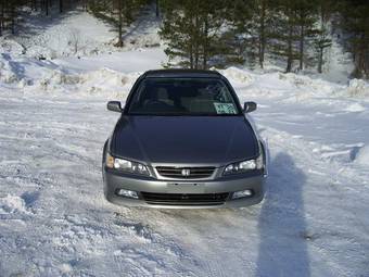 1999 Honda Accord Pictures