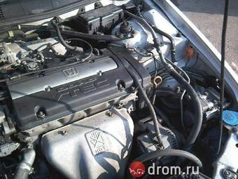 1999 Honda Accord Photos