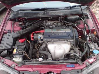 1999 Honda Accord For Sale