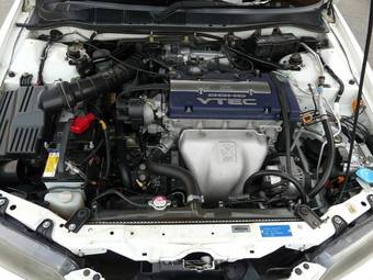 1999 Honda Accord Pictures