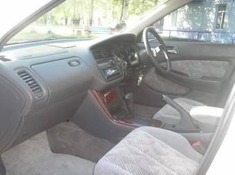 1999 Honda Accord Pictures
