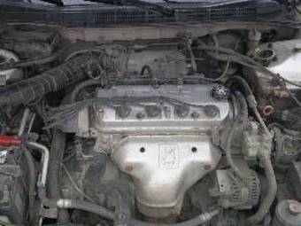 1999 Honda Accord For Sale