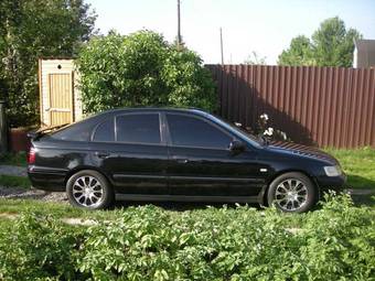 1999 Honda Accord Photos