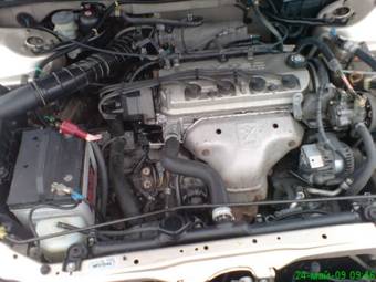 2000 Honda Accord Pictures