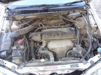2001 Honda Accord Pictures