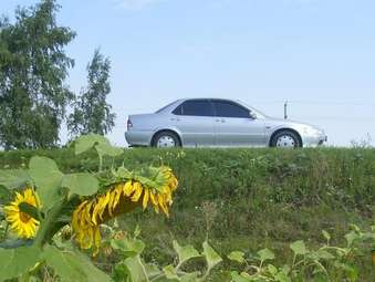 2002 Honda Accord