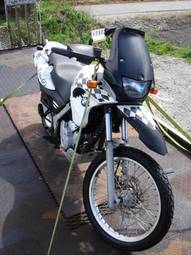 2001 Honda Africa TWIN Pics