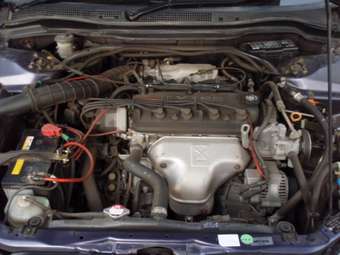 Honda Avancier