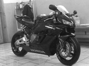 2005 Honda CBR Photos