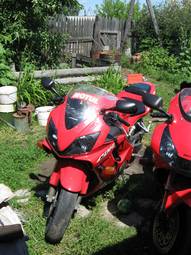 2001 Honda CBR600F Pictures