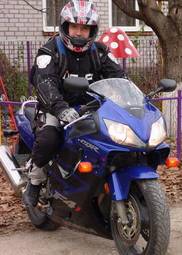 2006 Honda CBR600F Pictures