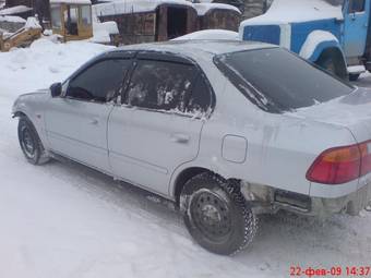1999 Honda Civic Ferio Pics