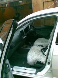 Civic Ferio