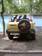 Preview 1999 CR-V