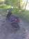 Preview Honda DIO