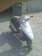 Preview 1999 Honda DIO