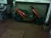 Preview Honda DIO