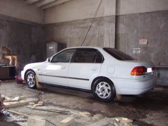 Honda Domani