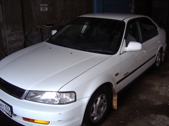 Honda Domani