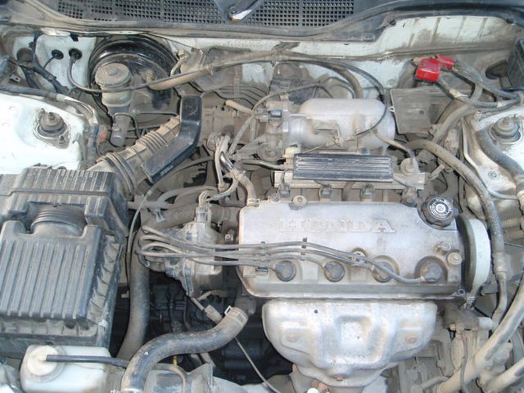 1998 Honda Domani