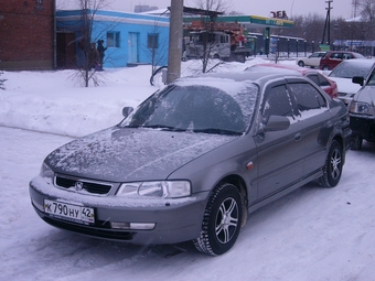 2000 Domani