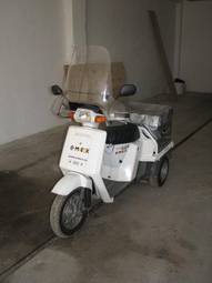 2007 Honda GYRO X Photos