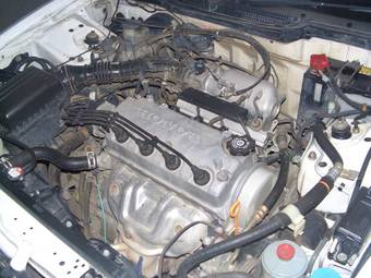 2001 Honda Integra Pictures