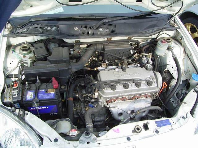 1999 Honda Logo Pictures