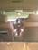 Preview Honda Odyssey