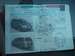 Preview Honda Odyssey