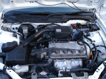 1999 Partner