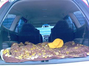 2000 Honda Stream Photos