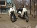 1999 honda super cub 50 custom