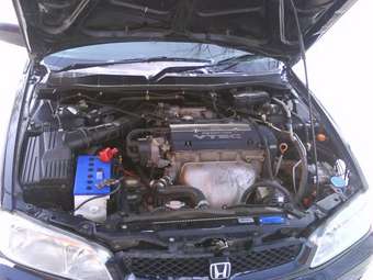 Honda Torneo